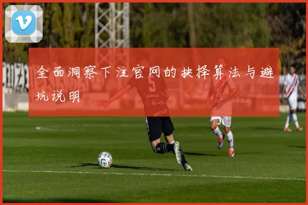 全面洞察下注官网的抉择算法与避坑说明