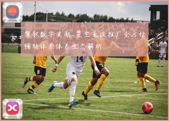 驾驭数字浪潮_星空竞技推广全方位辅助体系体系生态解析