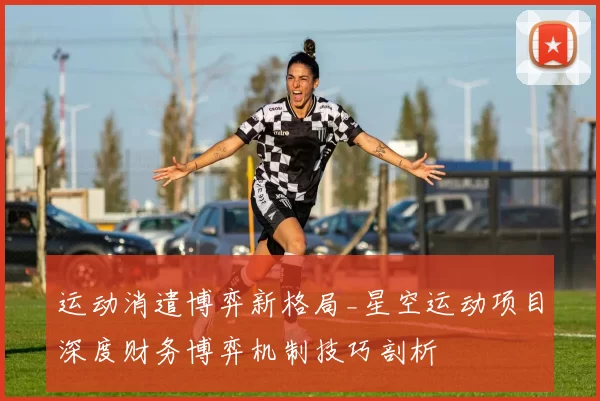 运动消遣博弈新格局_星空运动项目深度财务博弈机制技巧剖析