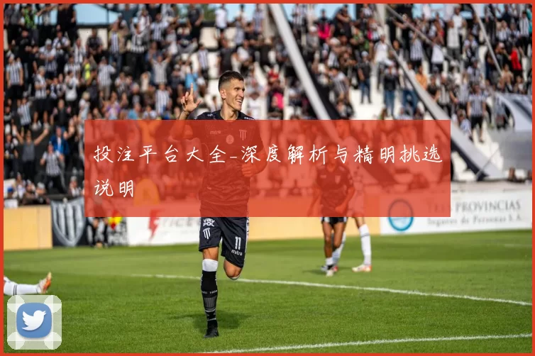 投注平台大全_深度解析与精明挑选说明