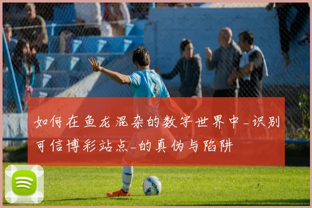 如何在鱼龙混杂的数字世界中_识别可信博彩站点_的真伪与陷阱