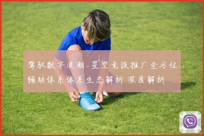 驾驭数字浪潮_星空竞技推广全方位辅助体系体系生态解析 深度解析