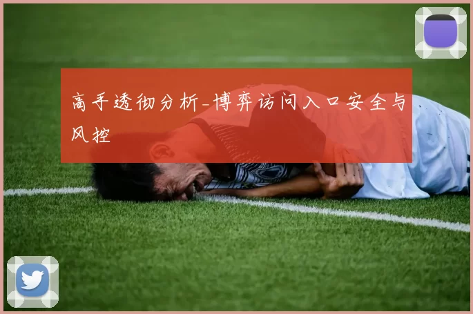 高手透彻分析_博弈访问入口安全与风控