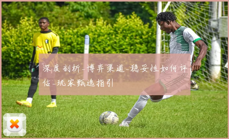 深度剖析_博弈渠道_稳妥性如何评估_玩家甄选指引