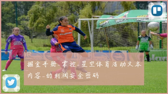 掘金手册_掌控_星空体育活动文本内容_的利润安全密码