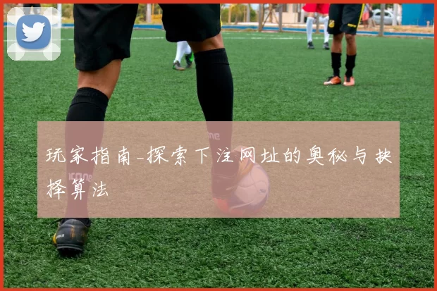玩家指南_探索下注网址的奥秘与抉择算法