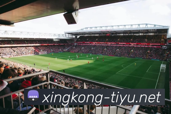 星空体育平台服务体系