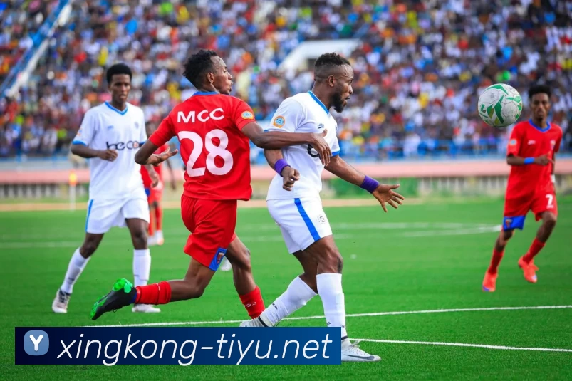 星空体育平台APP 体育赛事宣传图